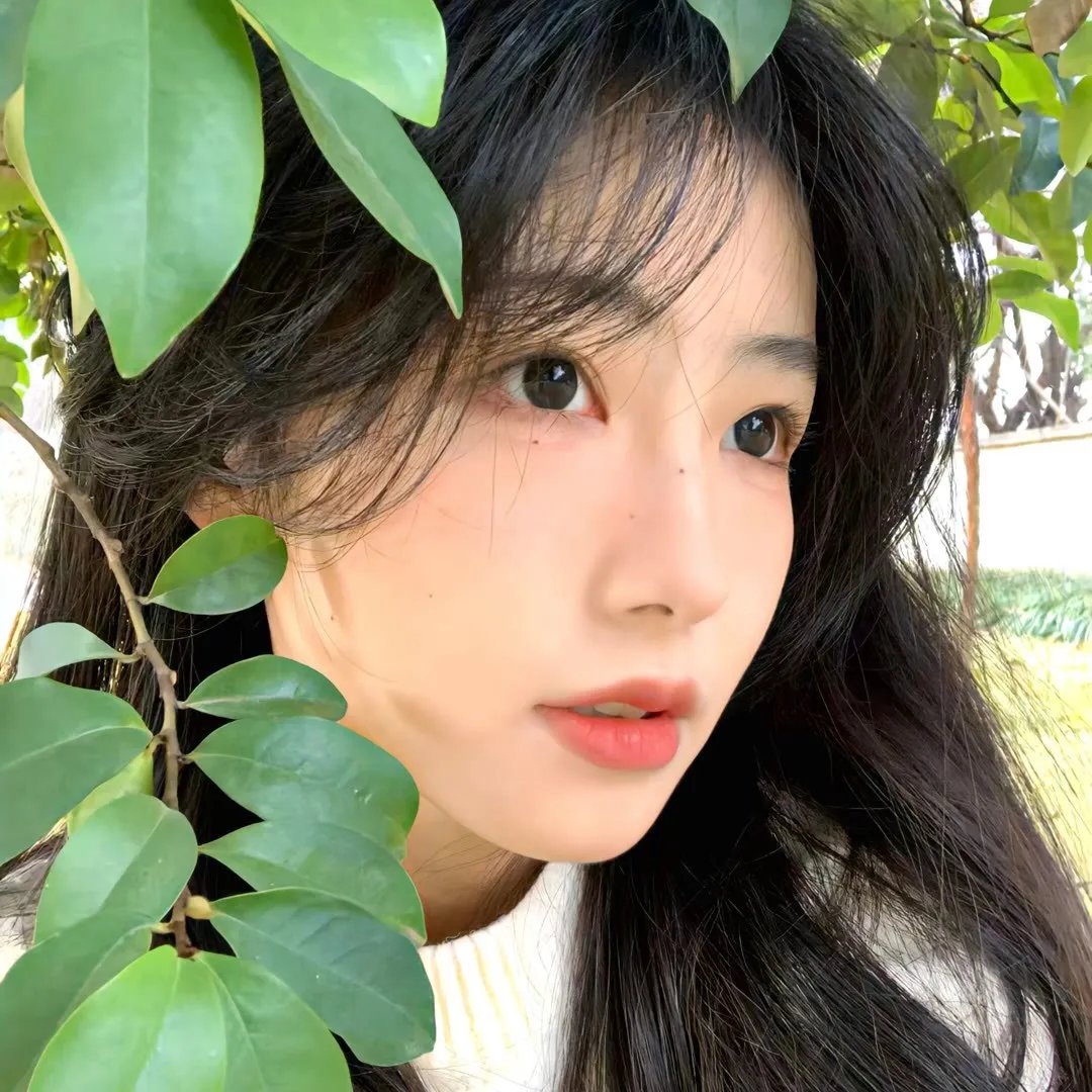 闪舞